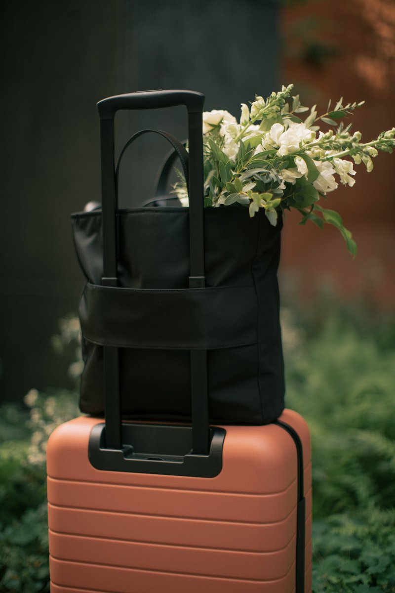 Introducing Edition: Rashida Jones, with colors inspired by Scandinavian design &amp; special additions all her own.
awaytravel.com/rashida