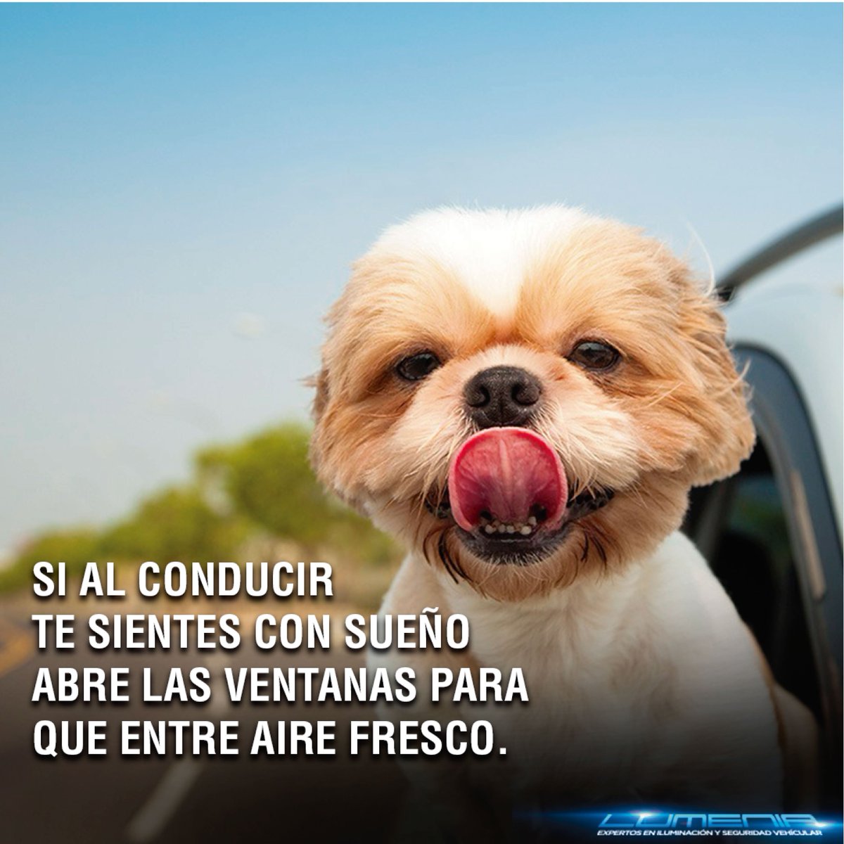 LUMENIA_ECUADOR's tweet photo. ✅#LumeniaRecuerda💡
¡Si tienes sueño, toma aire fresco mientras conduces!🚘
BUEN MARTES!! 👍
#ConsejosConduccion #TipsConduccion https://t.co/Utk3qdzdez