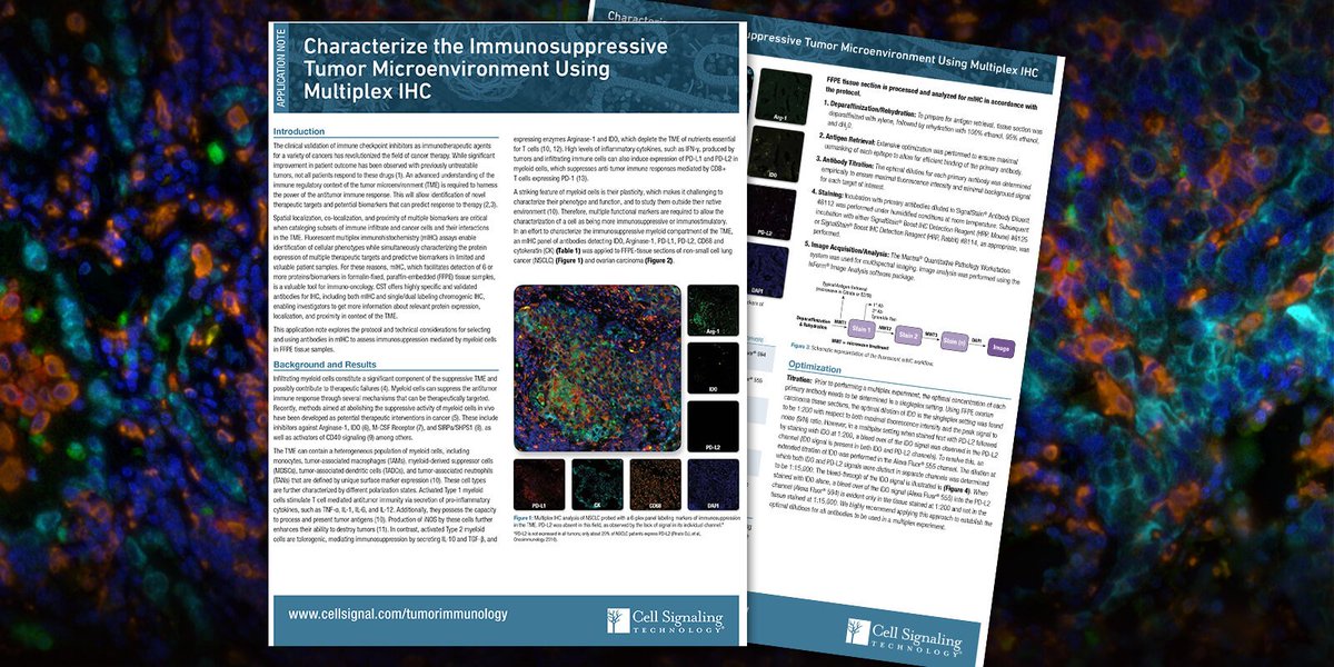 CellSignal's tweet photo. Gain a deeper understanding of #TumorMicroenvironment with #mIHC app notes, posters. #IHC #Cellsignal #AbValidate https://t.co/UHwUaX8VB5 https://t.co/TQtKsF6bUo