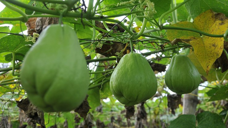 La República Dominicana continúa aportando más del 80% de los alimentos que se consumen. #DemocratizaciónDelCrédito