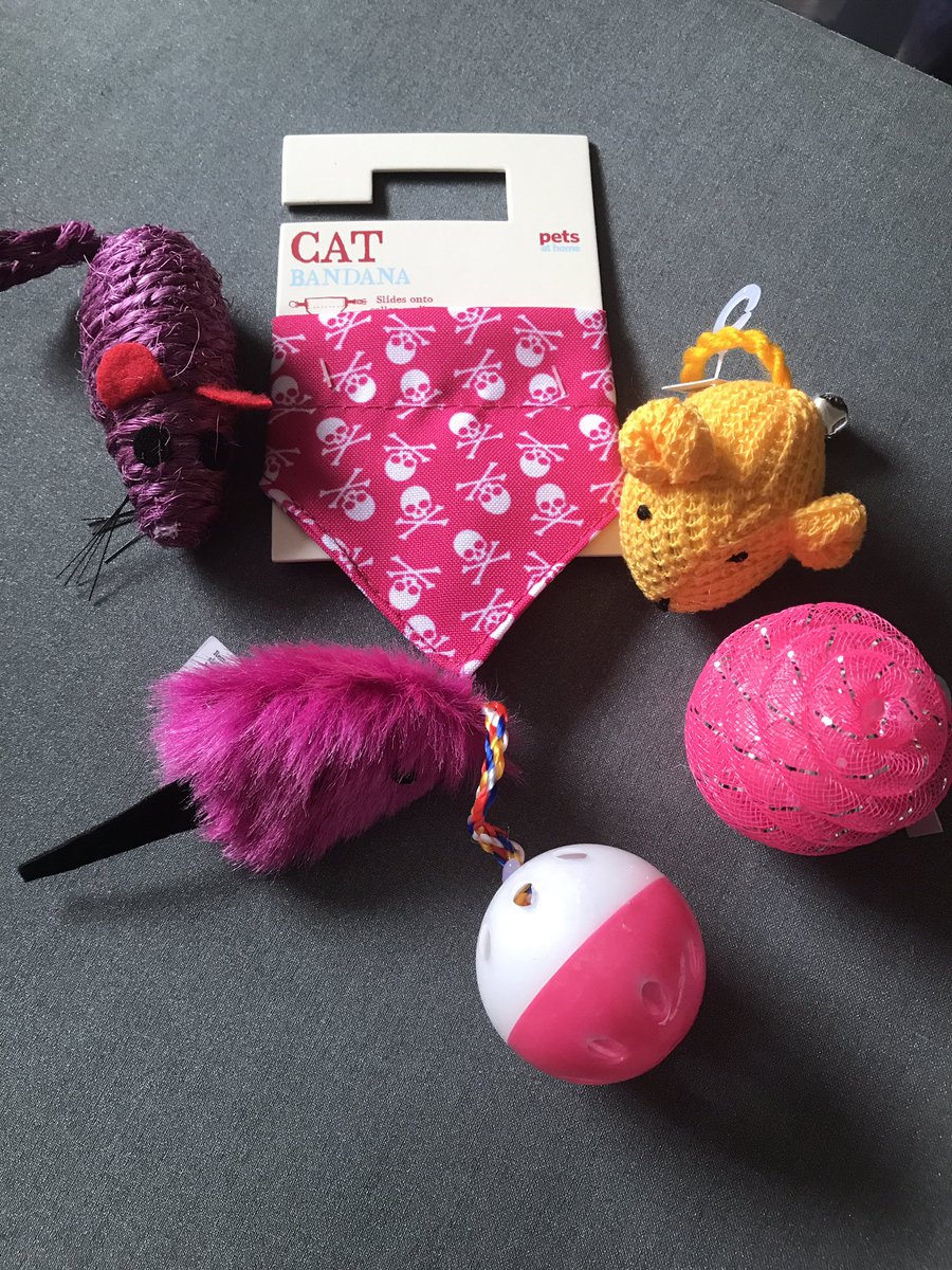 karensunnydays's tweet photo. Some little welcome gifts for #Salem when she gets to her new home tomorrow with #RobynJackson #Cats #AdorableKitten https://t.co/BYQCkbY1Mr