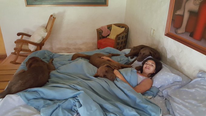 Como duermo yo aqu&iacute;? @FridaSante #PerroFiel #missionimpossible #MeQuedoEnSofa https://t.co/eZpr4X3ZG<a class="tags" href="/tag/fridasante">@fridasante</a><a href="/tag/perrofiel"class="tags">#PerroFiel</a><a href="/tag/missionimpossible"class="tags">#missionimpossible</a><a href="/tag/mequedoensofa"class="tags"><span>#mequedoensofa</span></a>