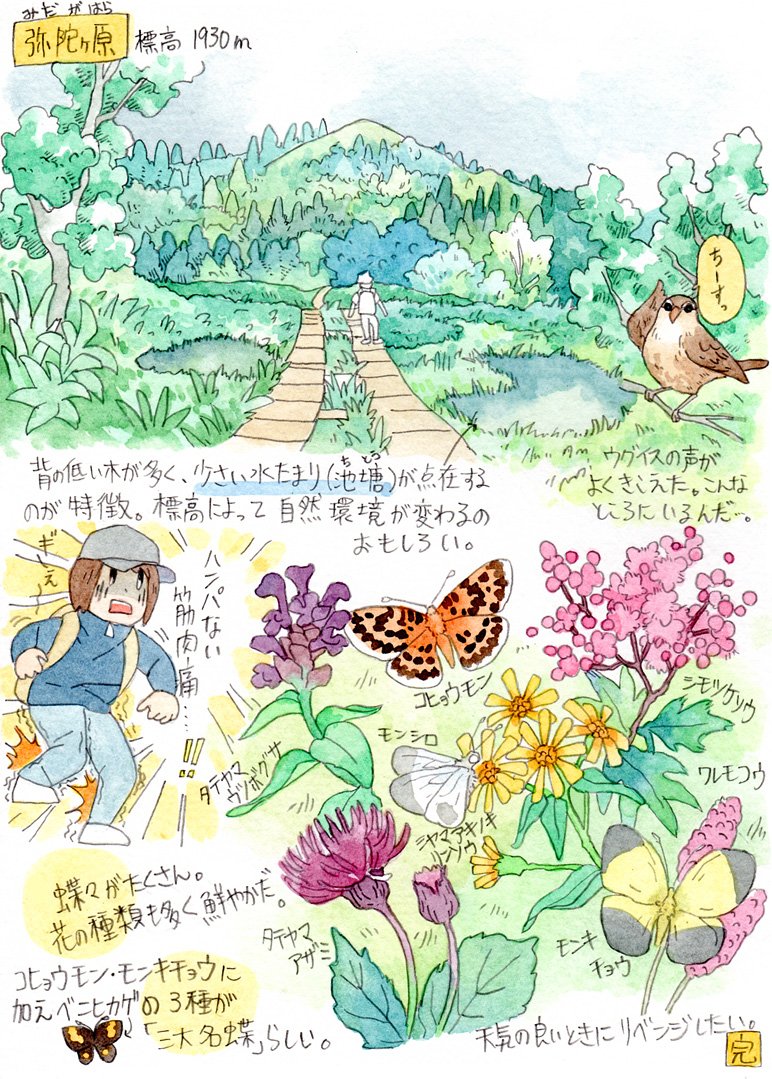 富山県立山アルペンルート 行った時の。 