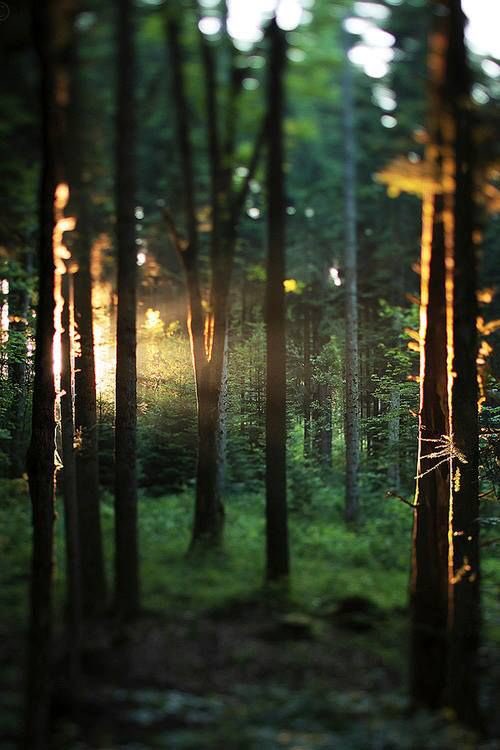 ellathevamp's tweet photo. Wander where the wifi is weak... https://t.co/IrZ5yAKqRS