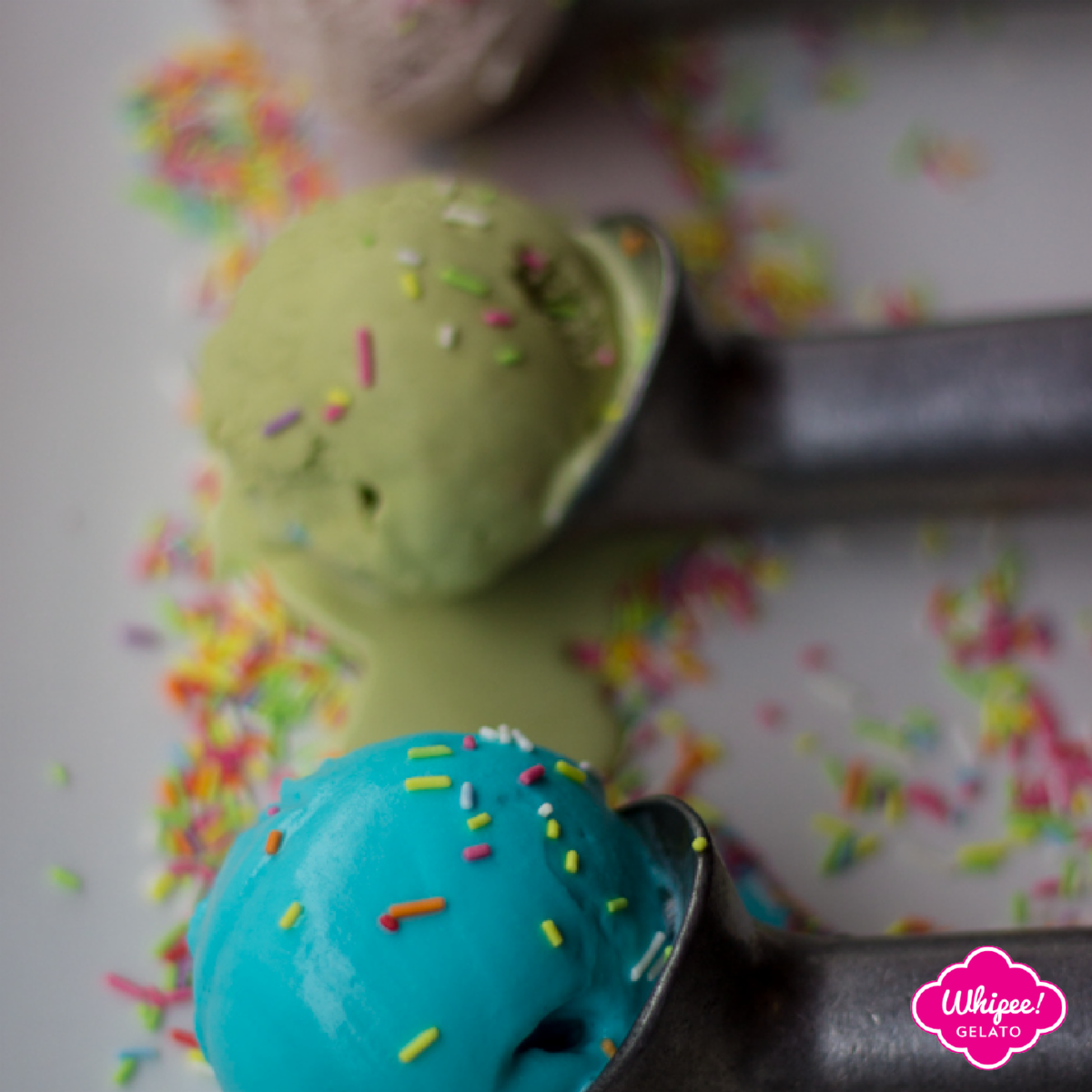 WhipeeGelato's tweet photo. Brighten up your day with our gelato! https://t.co/vJu4U20b1G