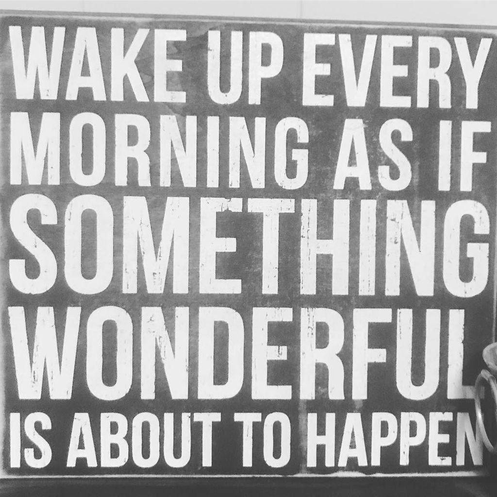 tsharon's tweet photo. Good morning. #5:05am #weightlifting #barbell #backsquat #frontsquat #snatch #cleanandjerk #deadlift #clean #overh… https://t.co/w1Ml62ciyU https://t.co/YBFPeUTFOE