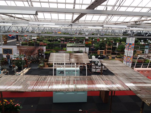 Laatste voorbereidingen voor Najaarsbeurs, last preparations Autumn Fair: see you 23, 24, 25 August! #plants #meetmorethan150growersinperson