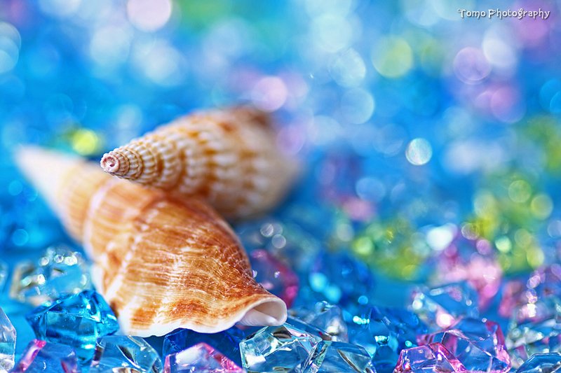 Inspirationgap's tweet image. I live, explore, love and create in the moment.