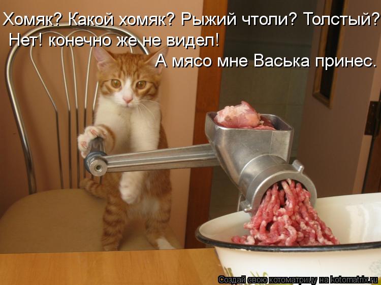 Картинки с надписью что делаешь завтракаю