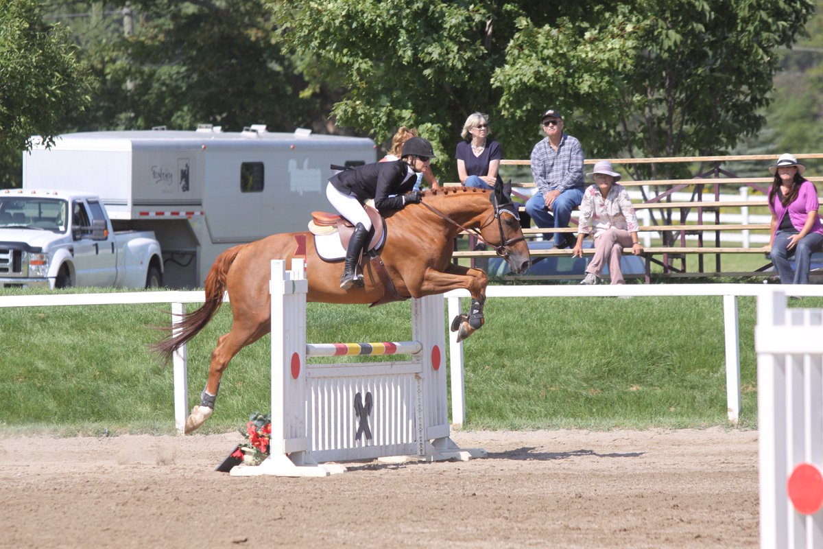 Equestrian Show Jumping! One of my two passions-nancybenson.com/real-estate-sh…
#equestrian #equestrianshowjumping