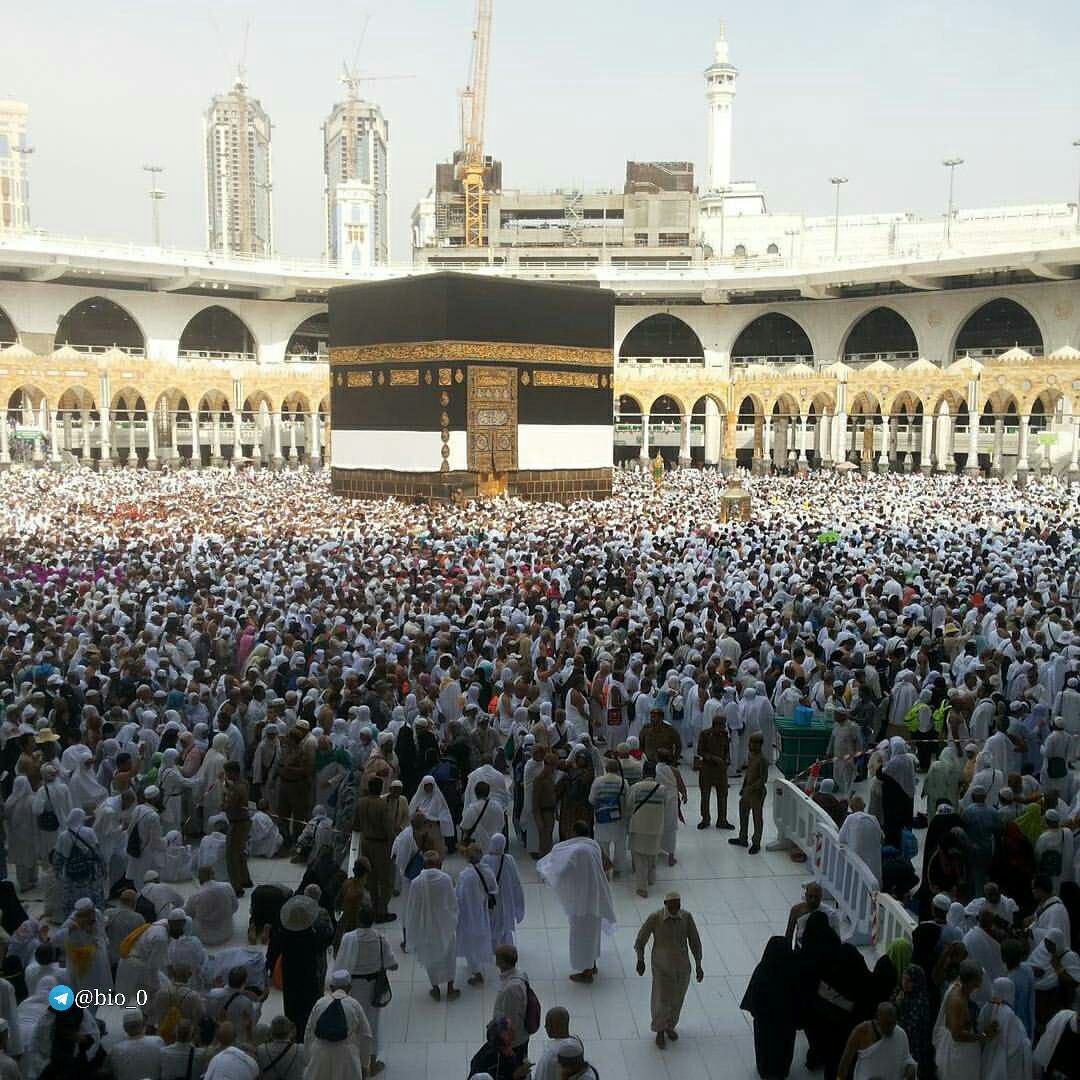 qljljr's tweet photo. اللهم بلغنا #عشره_ذي_الحجه،وبلغنا يوم عرفه،وبلغنا عيد الأضحى،نحن ومن نحب بنعمه وعاافيه يارب🕋💛✨ https://t.co/6coqe59bUO
