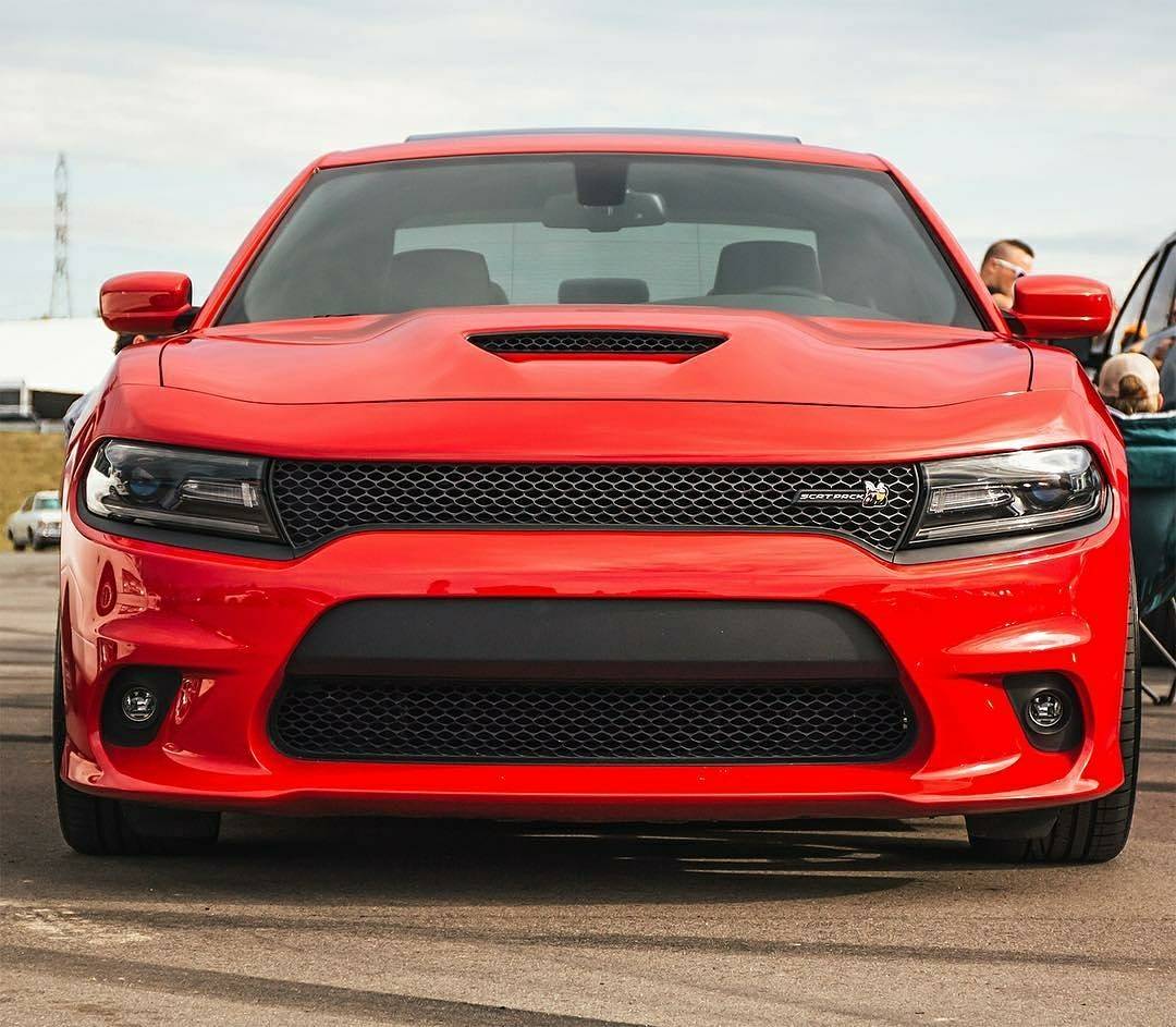 Atlantic_CDJ's tweet photo. #Repost @dodgeofficial  ・・・
Join the pack. 
#Dodge #Charger #DodgeCharger #ScatPack #CarsofInstagram #CarGram #InstaAutos #InstaCars https://t.co/7ZIzB8WQ8d