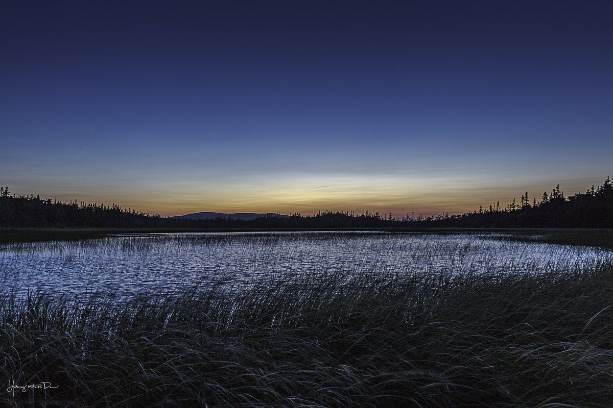 Blue hour over a pond.