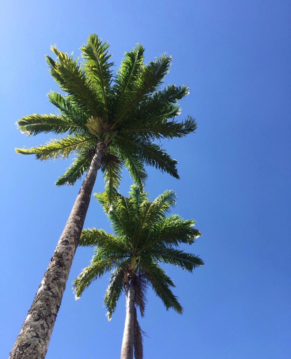 iIoveaesthetics's tweet photo. sandy beaches are the best beaches https://t.co/rKu3HMRkbA