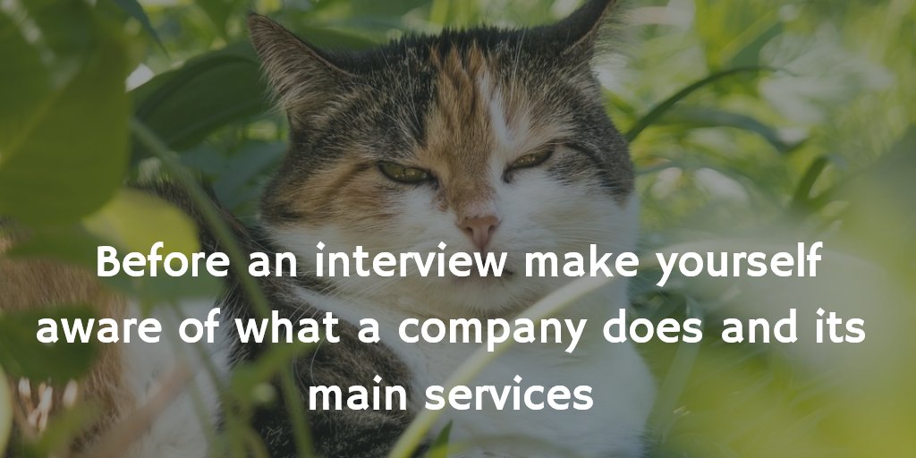 chestercareers's tweet photo. #employabilitytip #chestercareers https://t.co/zV1cqOBIWZ