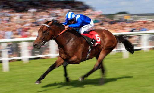 TUESDAY TIPS 🏇🏼

twe.bet/NAP
twe.bet/WinTreble
twe.bet/EachWayDouble
twe.bet/Lucky15
twe.bet/WinDouble