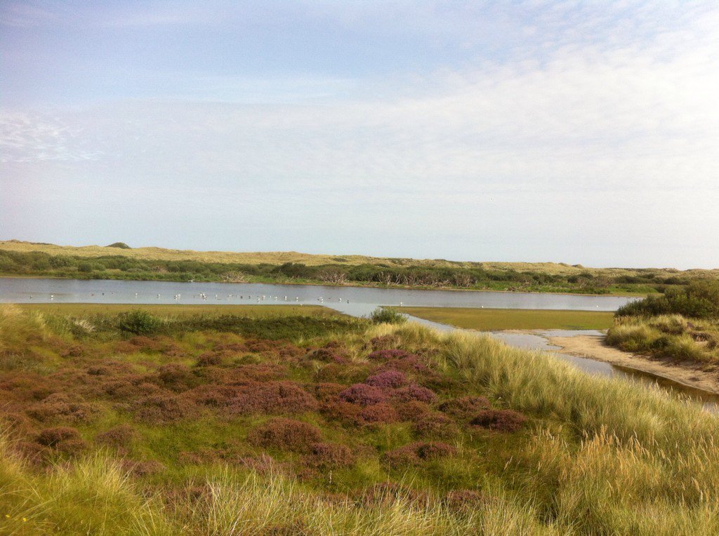 eilandmeisjeTS's tweet photo. Verhaal jutten tijdens duinplassenexcursie van @staatsbosbeheer #Terschelling. Leerzaam en leuk! #eilandtip #natuur https://t.co/VTPuShXnXu