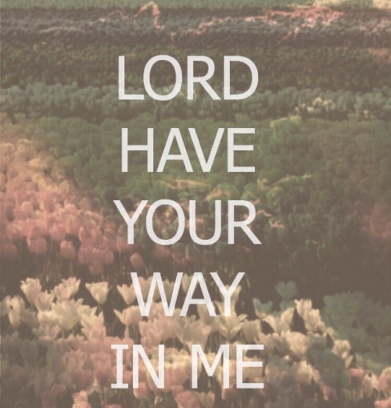thee_gospel's tweet photo. #godsway #glorifyyou #peace #dontbetroubled #strength #joyofthelord #worrynit #lordmyredeemer #lordmystrength #lor… https://t.co/vWg82yuGTR https://t.co/s4zj9ZE5nz