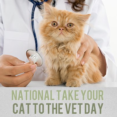 TroyAnimal's tweet photo. It's Take Your Cat to the Vet Day! Have you scheduled an appointment lately? We'd love to see you and your kitty! #vet https://t.co/face3B9WMC