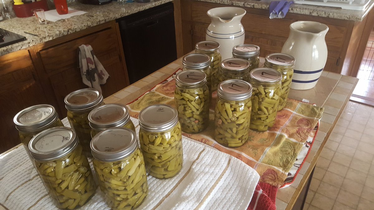 My wife is so awesome, she has canned over 80 quarts of our good pole beans.God is good.