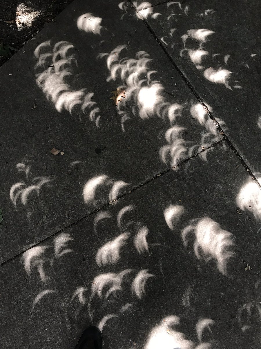 ILSTUGEO102's tweet photo. Shadows from yesterday's eclipse. #science #SolarEclipise2017 https://t.co/HR1Htcusoq