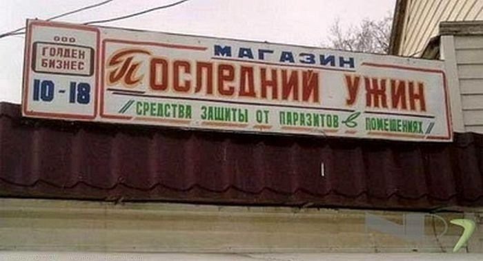 #копирайтер #сотрудничество #статьи #прайс #портфолио #смм #сео #smm #копирайтинг