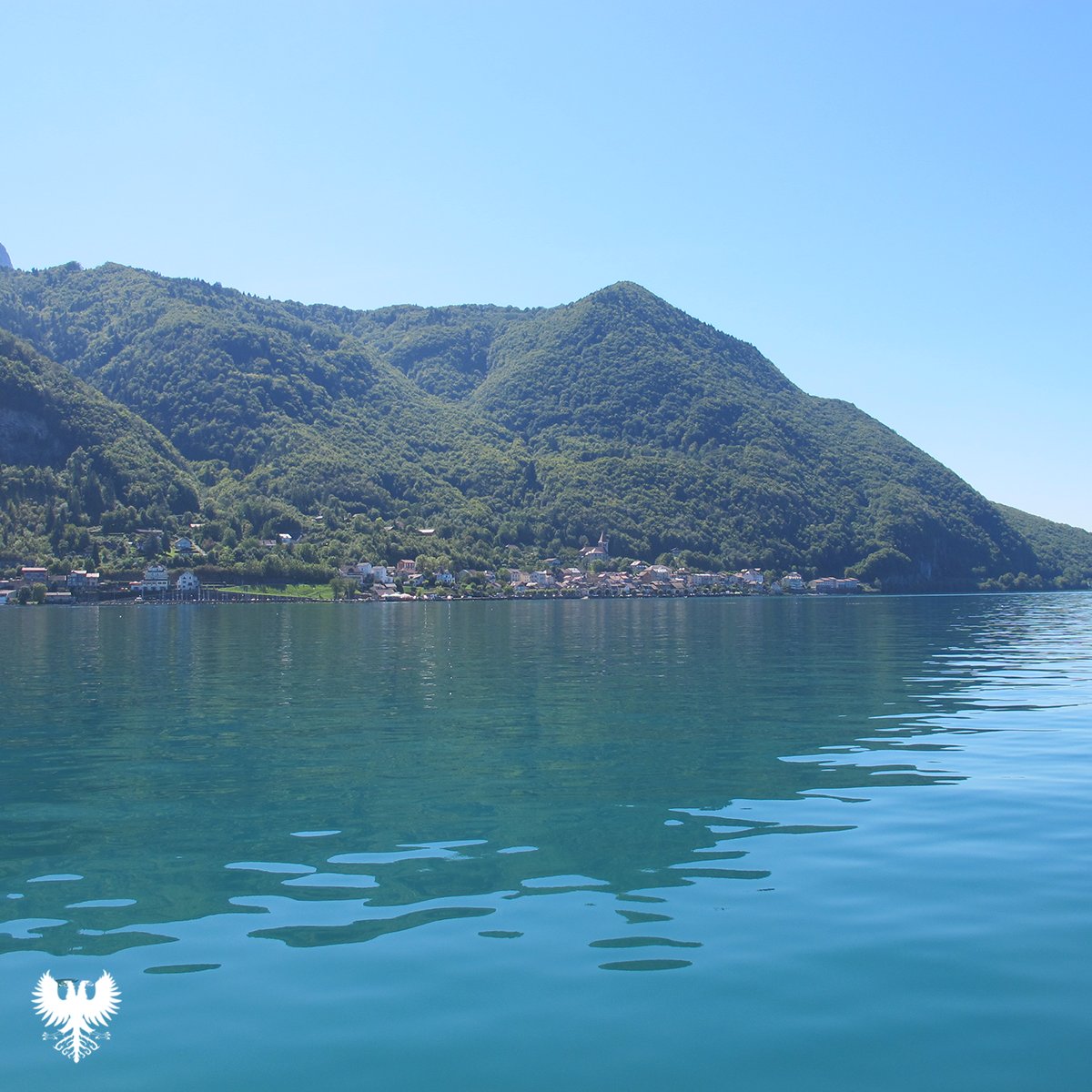 Lake Geneva Swimming Association tweet media