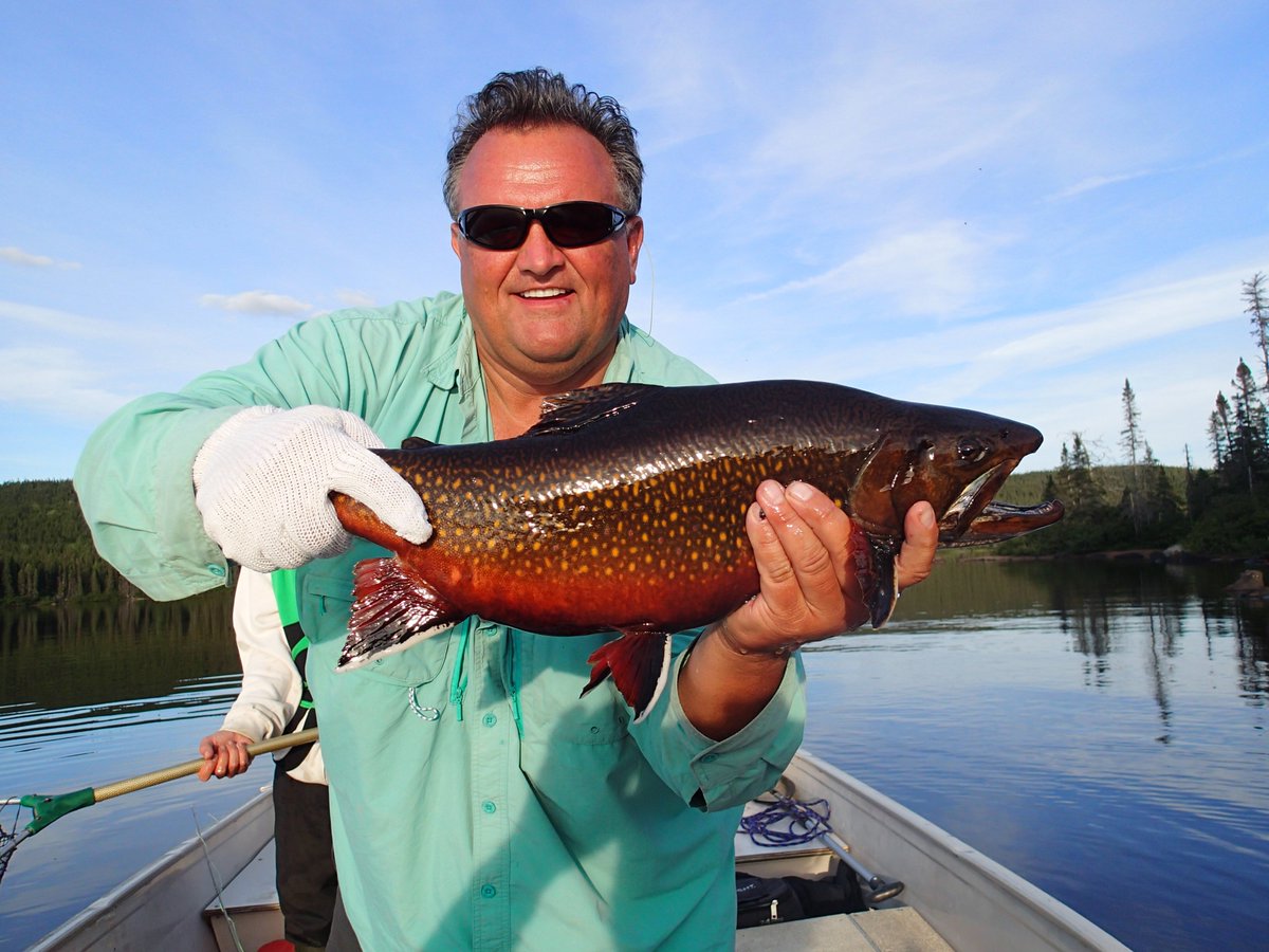 MinipiLodges's tweet photo. .New pix sent to us from the lake just in time for #TrophyTuesday @AverageHunter! 7 3/4 male!! #MINIPI #FlyFishing #Loverboy #AnneMarieLake https://t.co/EleehGswRt