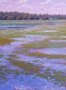 IndianaDunesNPS's tweet photo. What a beautiful visit by artist Simmone Roy. Check out her blog of the her stay. https://t.co/k82K81Mfq7 https://t.co/ubeYjyNO9A