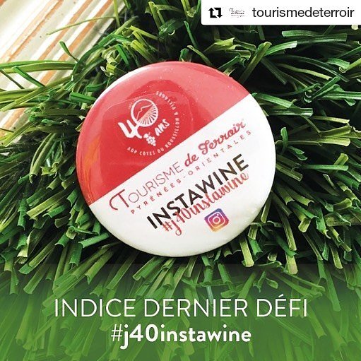 Vins_Roussillon's tweet photo. Dernière chance !!! #jeuconcours #Instawine sur #instagram @terroir66 ! Mettez en scène votre badge &amp; shootez ! 📸 #j40instawine#40ansCRetCRV https://t.co/OUKIoHGKy6