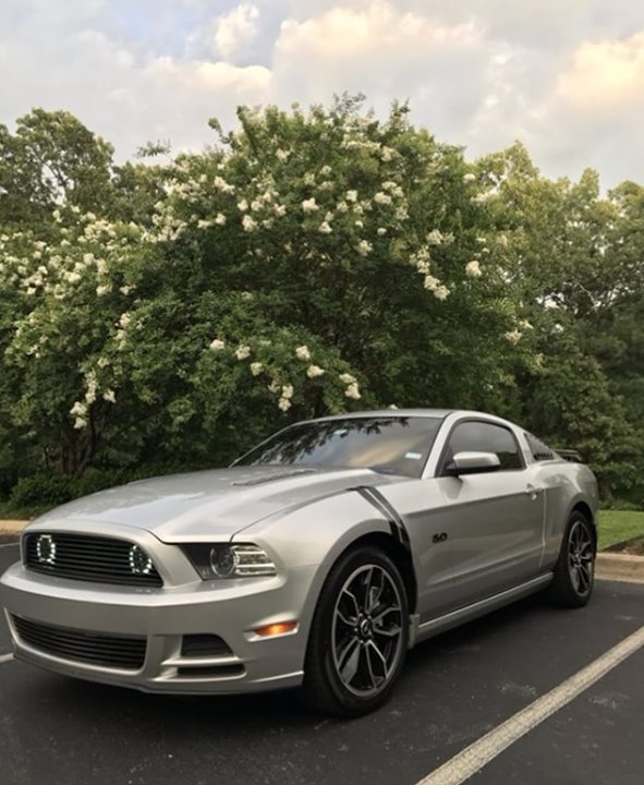 Modern Muscle Design modernmusclemmd Twitter