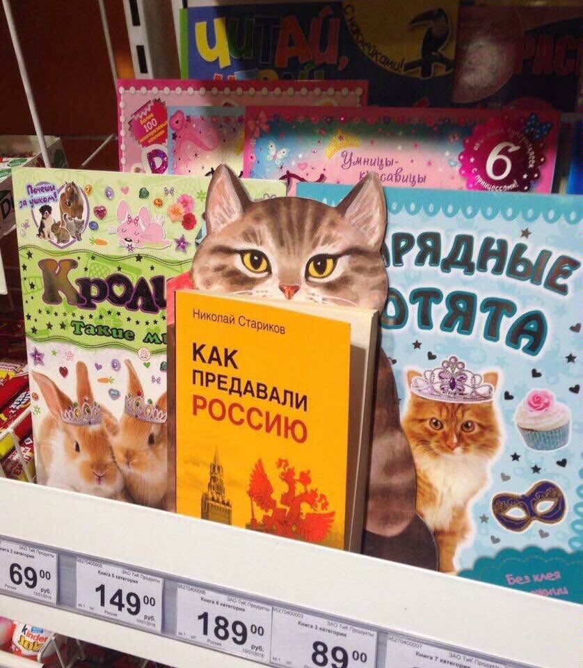 У меня лапки открытка, картинки винкс