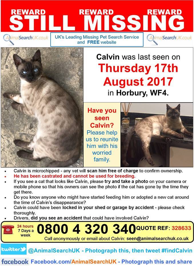 AnimalSearchUK's tweet photo. PLZ RT @RSPCA_official @CatsProtection @VetPractitioner #missingcat #horbury #wakefield #WF4 #findcalvin
https://t.co/Ycpw8utjGS https://t.co/Gi9s0ZJFRz