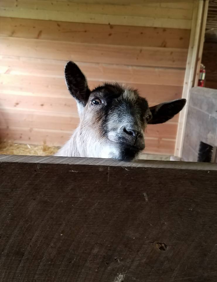 Hugs playing peekaboo! 👀