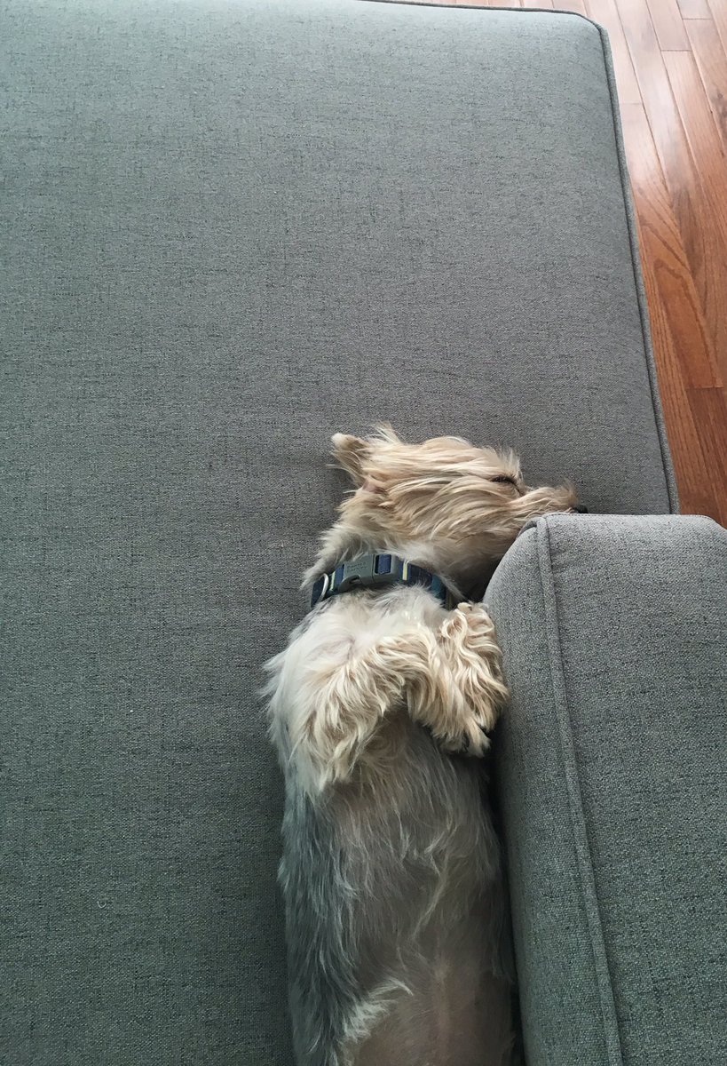 Best HomeFurnishings (BestHomeFurn) Twitter