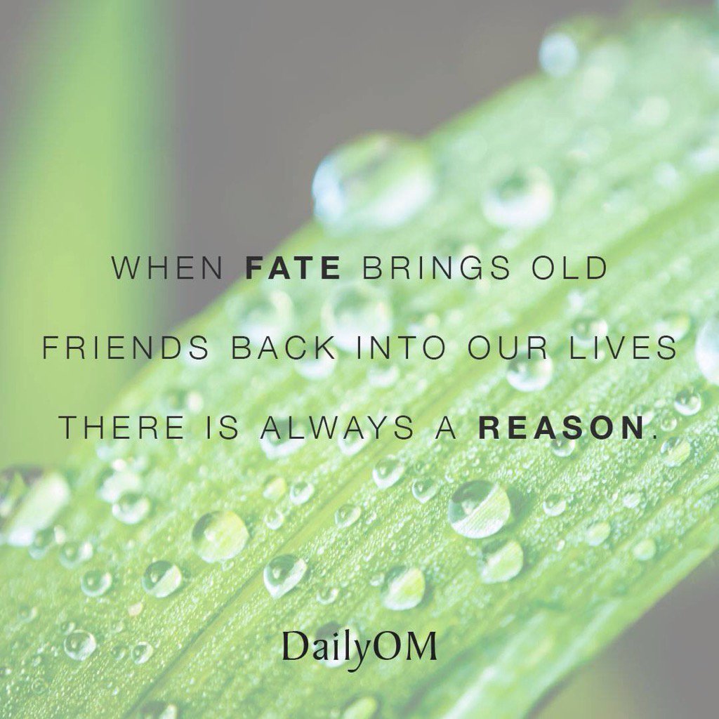 drlisalghthse7's tweet image. Had a friend reconnect, realized not a true friend. #lessonlearned