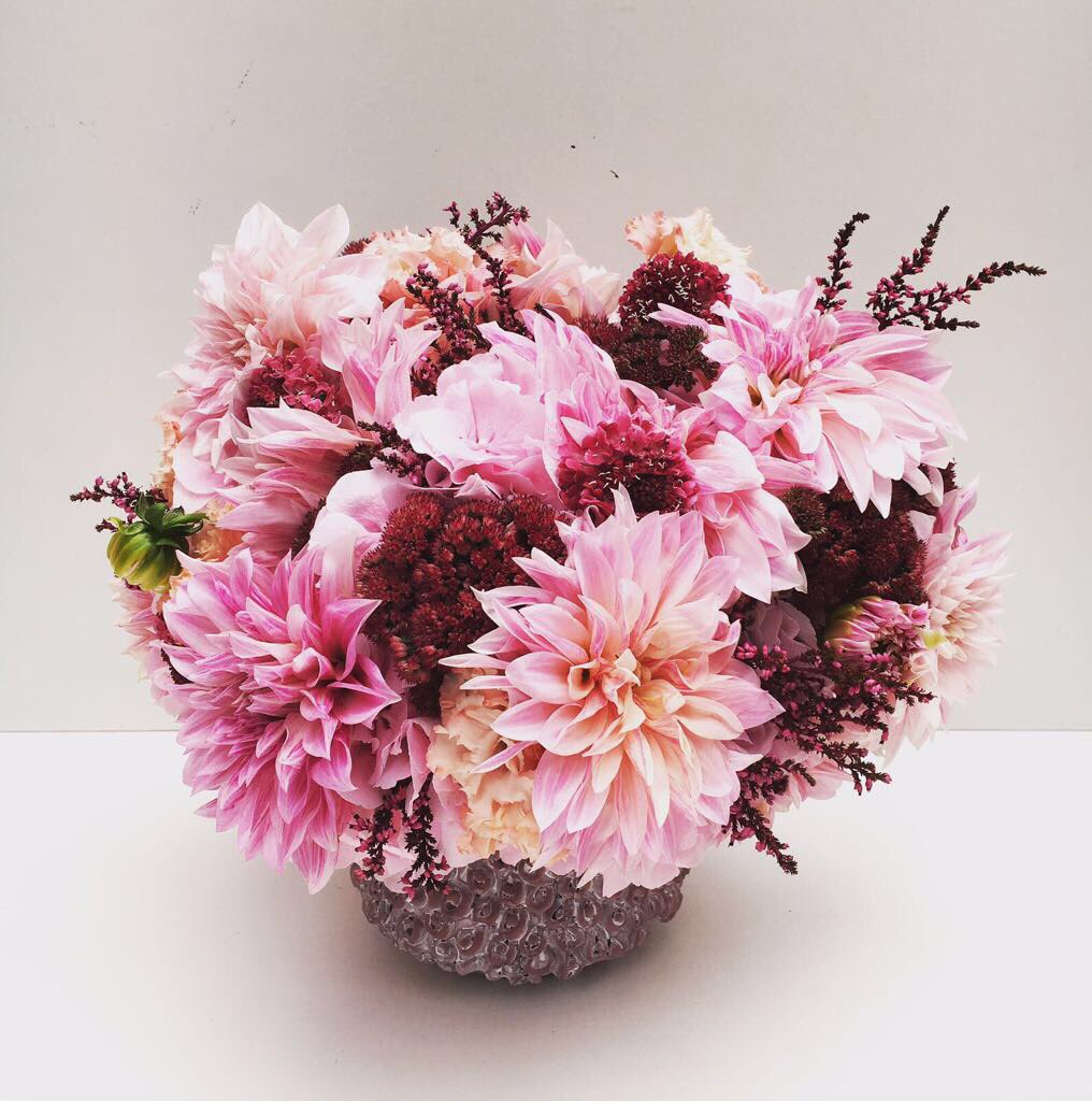 Benvinguts! Bienvenidos! Welcome!