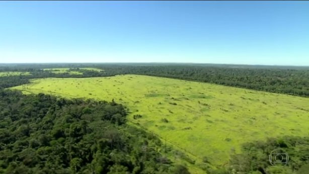 MidiaeAmazonia's tweet photo. #AmazônianaMídia: PF investiga ameaças de morte contra chefe do Ibama no Pará https://t.co/hcN3hao3Re https://t.co/Vu99JNeBkQ