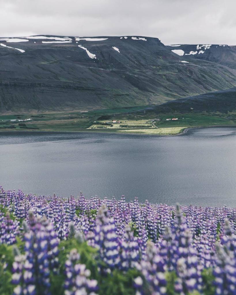 swetans's tweet photo. From the Fjords #exploreiceland https://t.co/gxa636teMO https://t.co/p8muo2yy7n