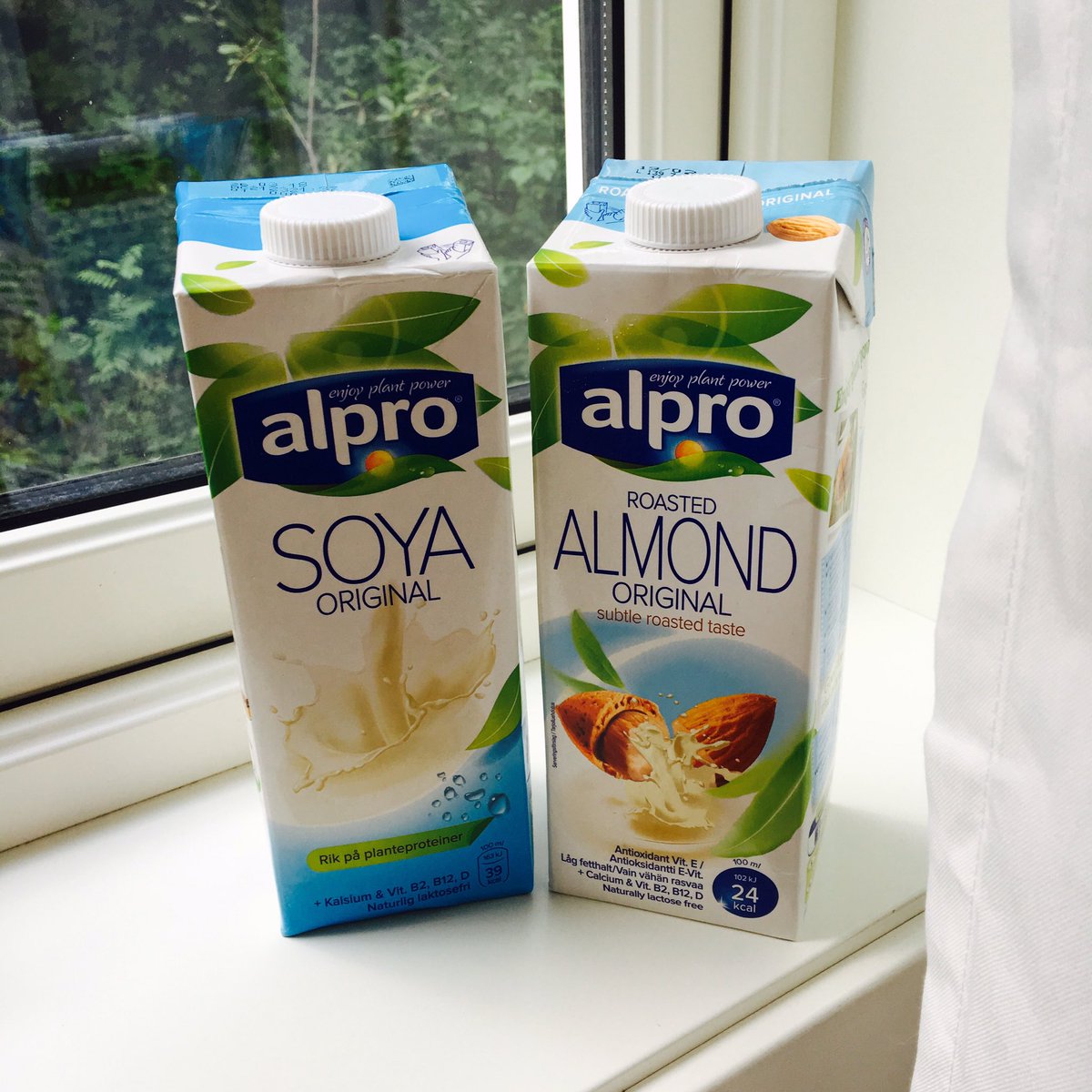 sunnysspring's tweet photo. As a student I am beyond excited to find that the local store had these on sale today! #WorldPlantMilkDay   🌱🙌😍 https://t.co/Q4LCFxL9nw