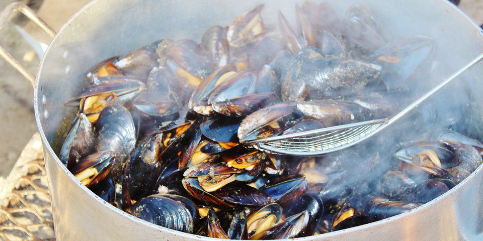 Genieten van het Zeeuwse goud? Op het Leienplein en het Caterplein is binnenkort weer een mosselparty: apeldoorn-binnenstad.nl/mosselparty-in…