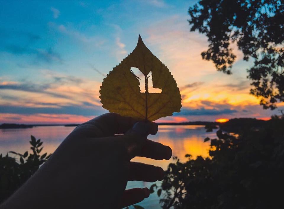 FoxValleyYL's tweet photo. Fall is just around the corner and we can't wait to see you at YL club! Details about fall kick off coming soon! https://t.co/6KdTwXbpQ1
