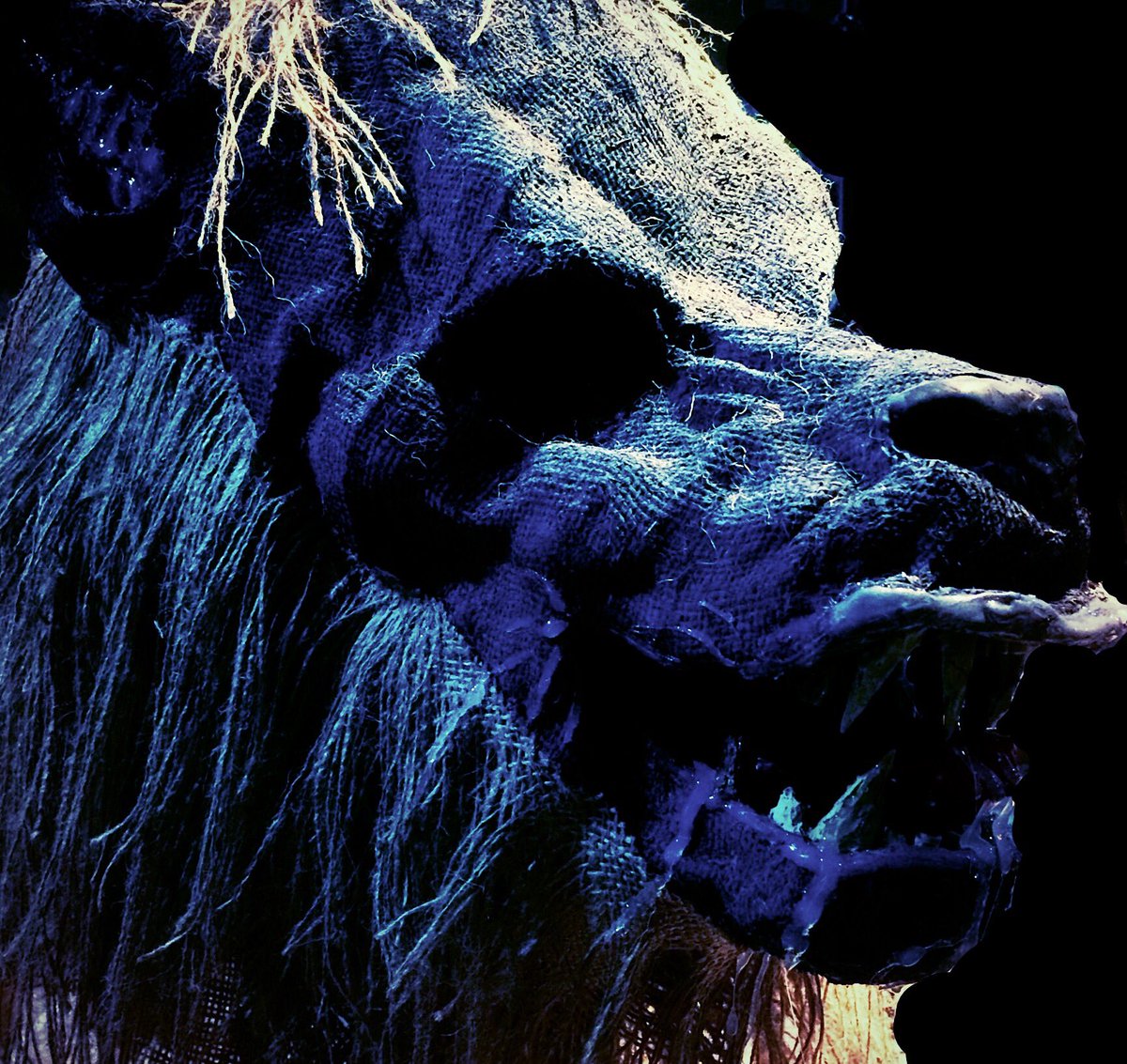 AaronNobess's tweet photo. Order almost complete! #Lycan #werewolf #beast #mask #cryptskinproject #comicon2017 #Halloween24x7 #Halloween #costumes #Winnipeg #artist https://t.co/r26kZigOjH