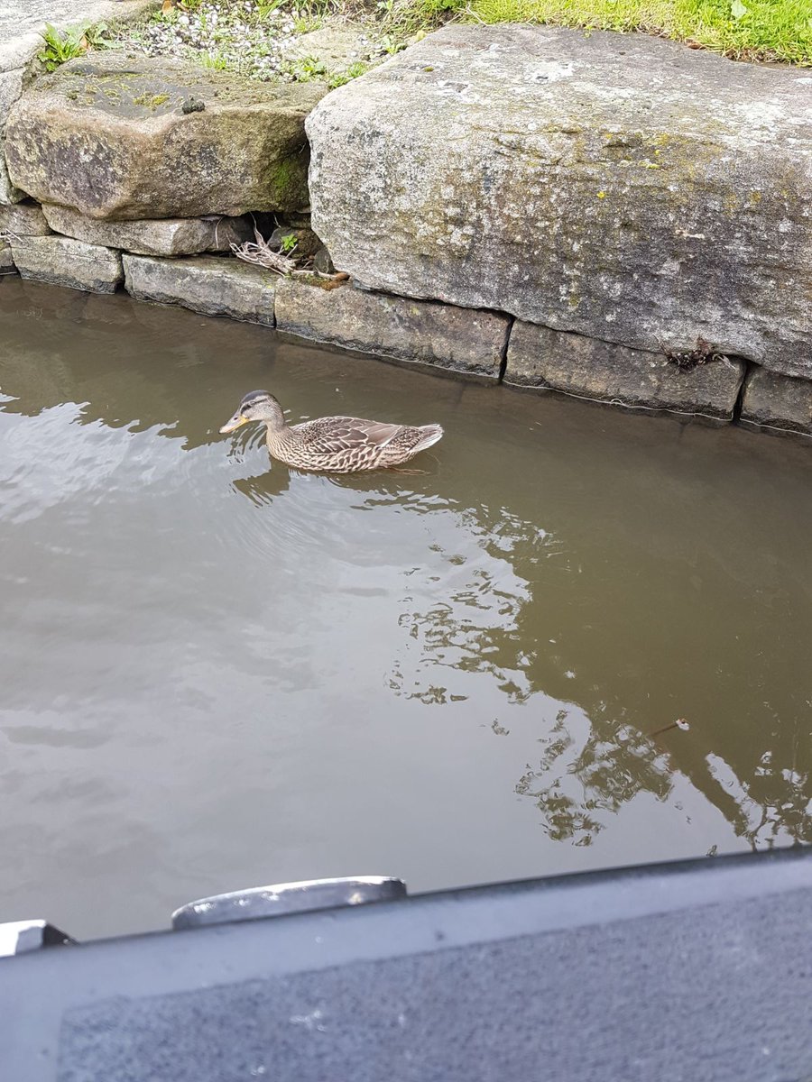 adelaide_house's tweet photo. When Adeladies met Captain Danny aboard the Pride of Sefton - it was quackers #messingabout #havinalaugh #goodto😁 @AdelaideCPB @IanGould5 😍😘 https://t.co/Ou2QGxmif9