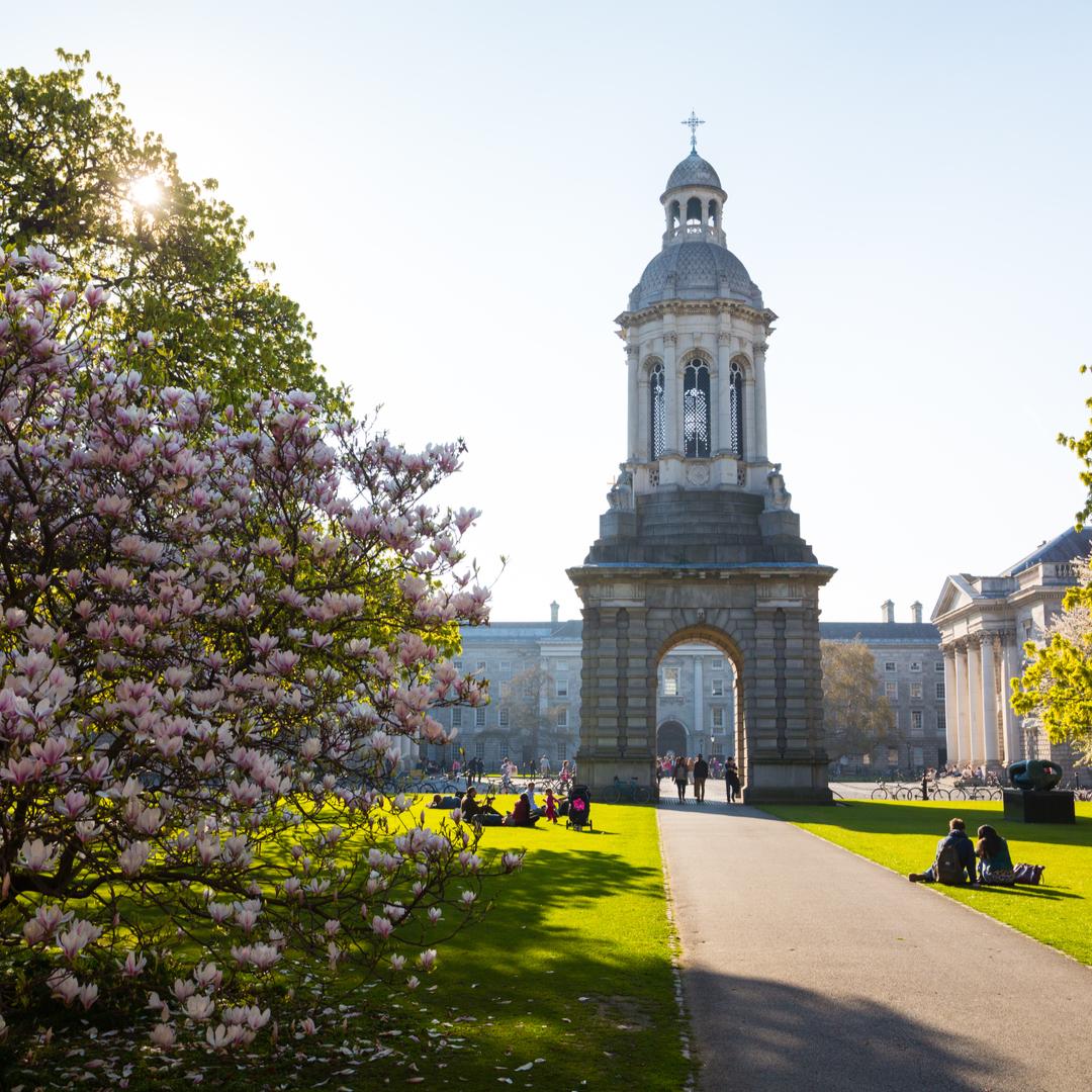 CelebrityCruise's tweet image. We're thrilled to announce that we're now sailing out of Dublin, Ireland! Depart from Dublin with us: bit.ly/2vb1QCE