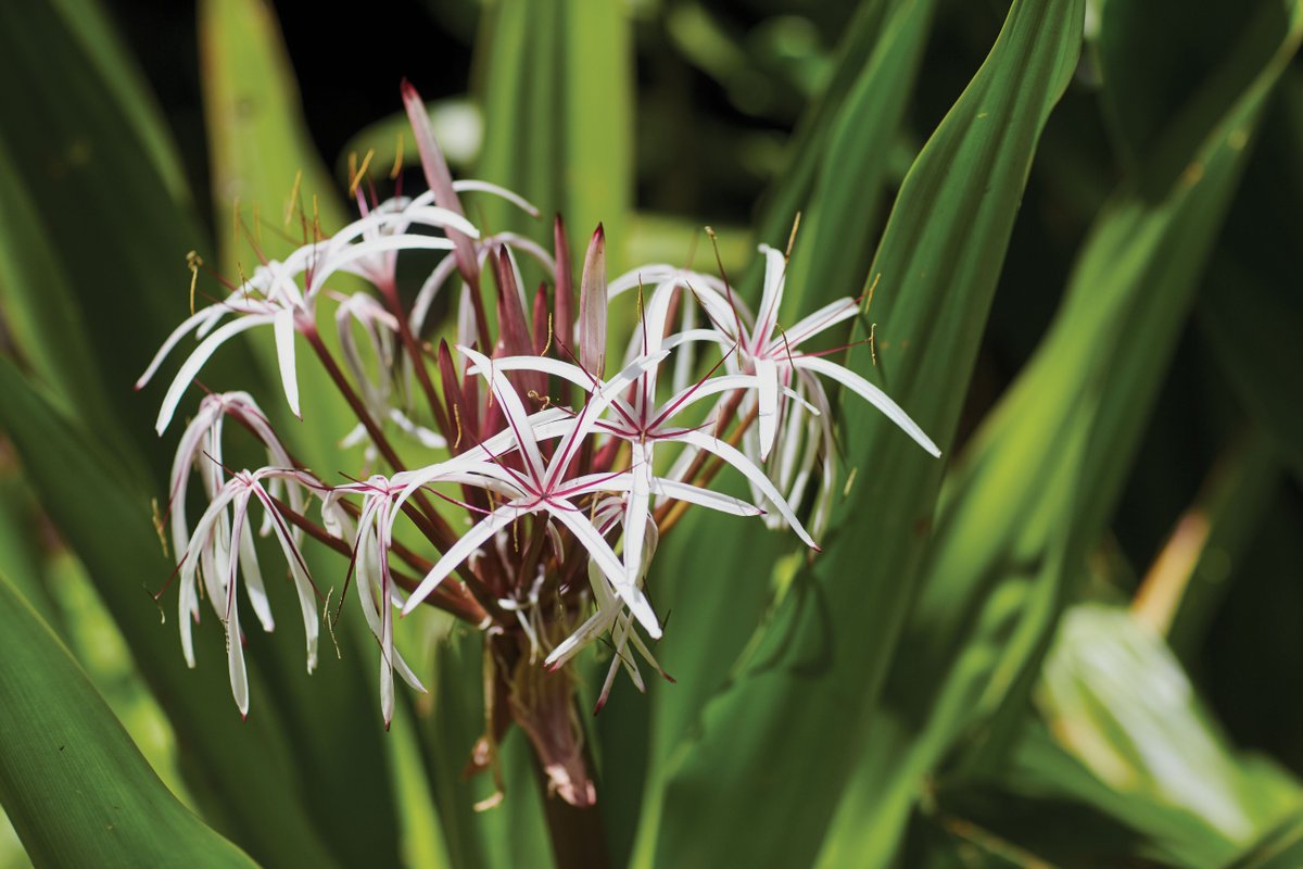 At Aveda, we believe in treating ourselves, others, and the planet with care and respect. RT if you do too. #avedamission