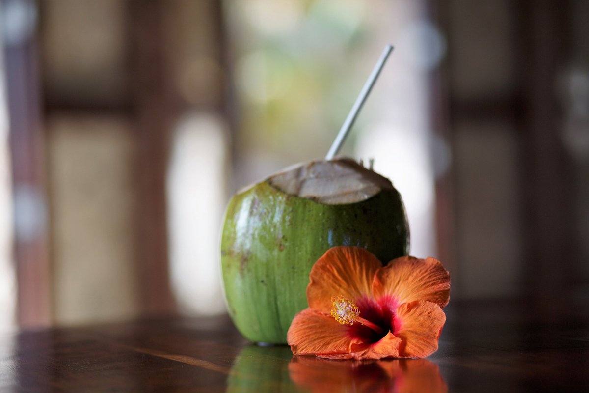 MayaTulum's tweet photo. Try "nature's sports drink" and stay super hydrated at Maya Tulum! #naturallyrefreshing #coconut https://t.co/BKJgjnl416