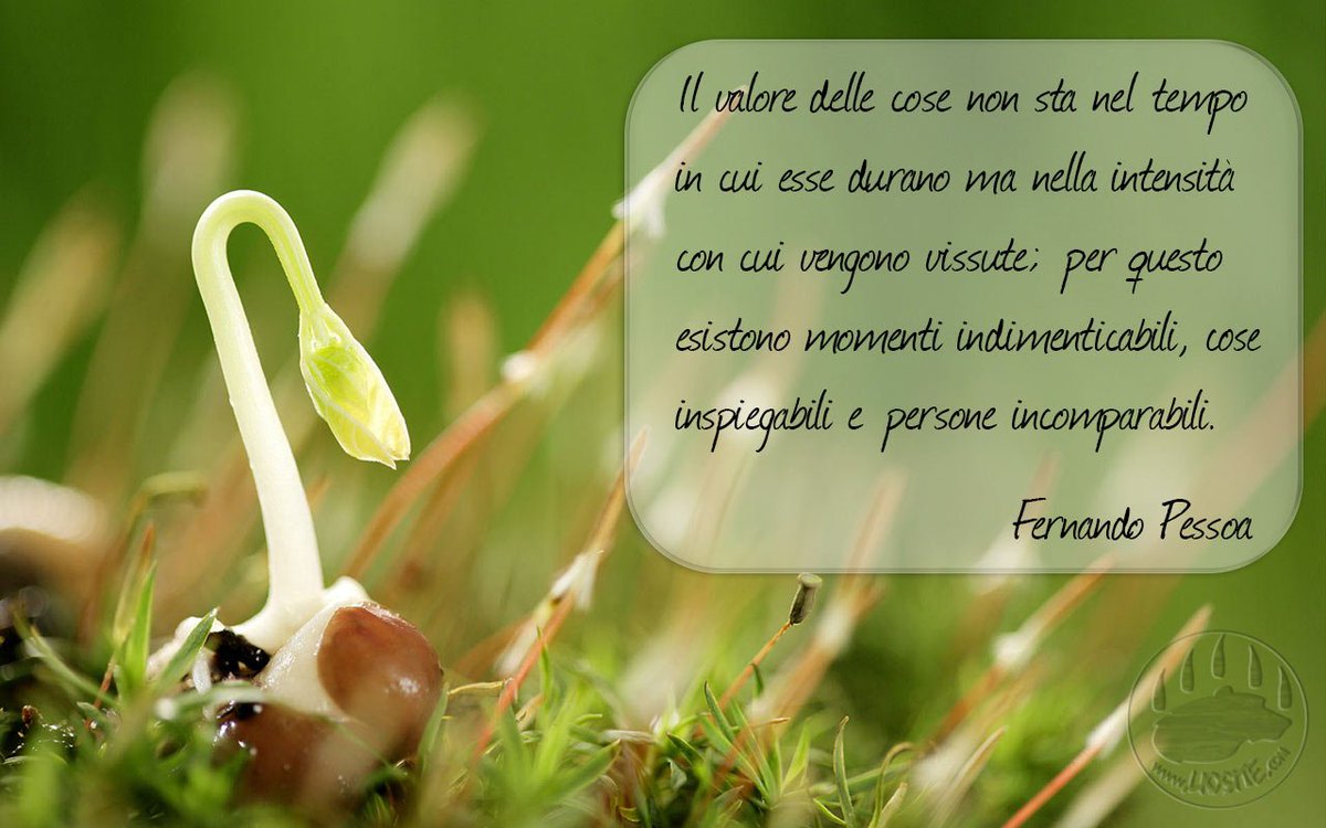 LioEmozionando's tweet photo. Pessoa Il valore delle cose .. https://t.co/hlFvUfUxYt #fernandopessoa #valore #tempo #italianquotes #graphtag #photoquotes #fotocitazione https://t.co/KDCMVbdA0V