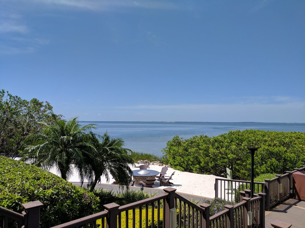 _Run_DMT_'s tweet photo. Our lunch time view for #TampaBayTuesday. Just gorgeous! ❤️ @TBbloggers @OCsGHTB #InHyattWorld #OCsGHTB https://t.co/QEBGK6qGtQ