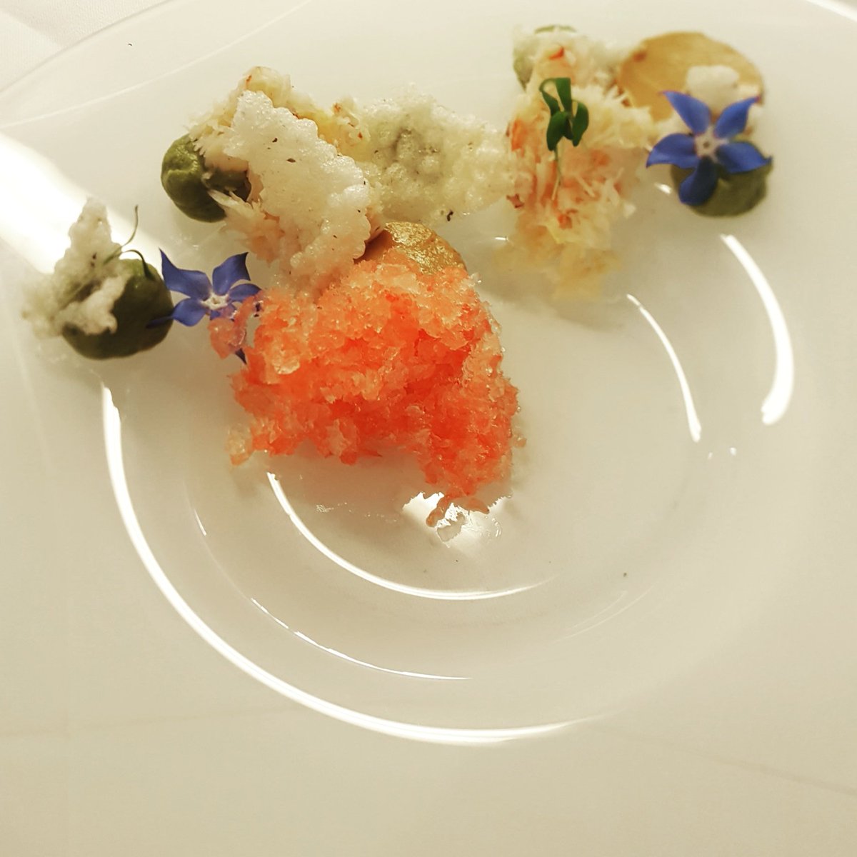Michael_ball85's tweet photo. Lymington crab, Brown crab custard, pink grapefruit, borage https://t.co/SWDJjJaGCe